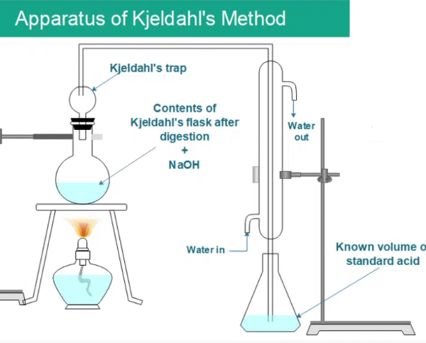 What is Kjeldahl or Kjeldahl?